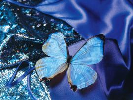 Abstract Blue Butterfly Arts Clipart Backgrounds