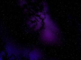 Amazing Purple Backgrounds