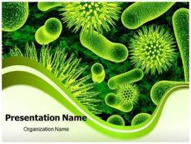 And Related Presentation With Our Bacteria Cells PowerPoint   Download Backgrounds