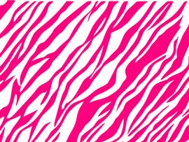 And White Zebra  Pattern Pink White  PPT Graphic Backgrounds