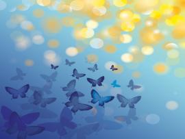 Animal Butterfly Blue   Animals Blue Design  Clip Art Backgrounds