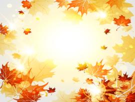 Autumn Leaves Bright Autumn Leaves Vector 06   Graphic Backgrounds