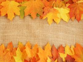 Autumn Leaves Textures Background Autumn   Slides Backgrounds