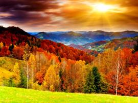 Autumn Scenery Picture HD Backgrounds
