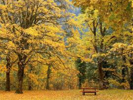 Autumn Scenerys BeautifulAutumn Scenery Desktops   Picture Backgrounds