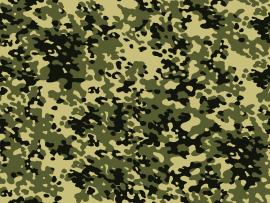 Background Green Camo  Camouflage Green Camo Presentation Backgrounds