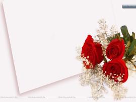 Background Wedding Pics Wedding Wallpaper Backgrounds