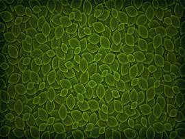 Background With Green Leaves Template Backgrounds