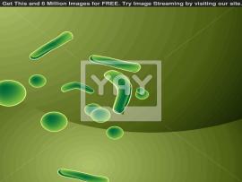 Bacteria For Bacteria Graphic Backgrounds