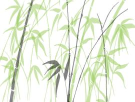 Bamboo Art Backgrounds