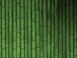 Bamboo Clip Art Backgrounds