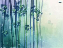 Bamboo Template Backgrounds