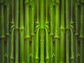 Bamboo Textured  Slides Backgrounds