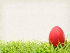 Banner Easter Der Easter Egg Picture Backgrounds