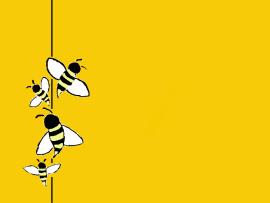 Bee Cartoons sIn4k  Frame Backgrounds