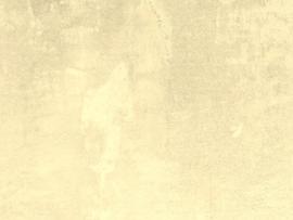 Beige Lace      Template Backgrounds