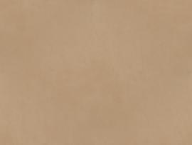 Beige Textured   Viewing  Template Backgrounds