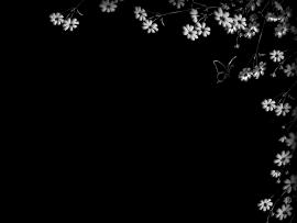 Black and White Flower Frame image Backgrounds