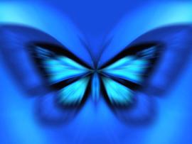 Blue Butterfly Art Graphic Backgrounds