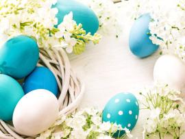 Blue Easter Eggs Backgrounds