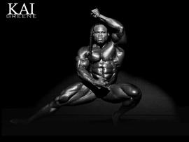 Bodybuilding Quality Backgrounds