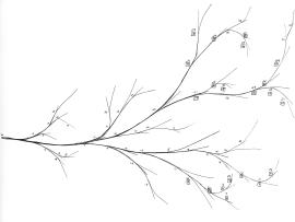 Branches Download Backgrounds
