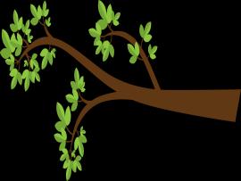 Branches Slides Backgrounds