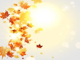 Bright Autumn Leaves Vector Backgrounds