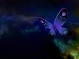 Butterfly Border Quality Backgrounds