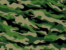 Camo Slides Backgrounds