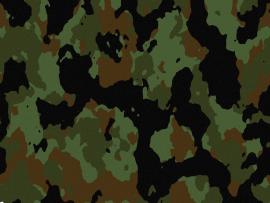 Camouflage Desktops Photo Backgrounds