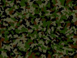 Camouflage Download Backgrounds