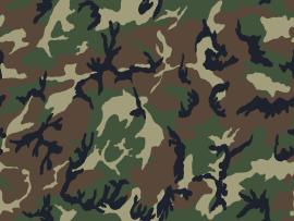 Camuflauge pattern Backgrounds