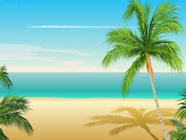 Cartoon Beach Palm Tree Download Backgrounds