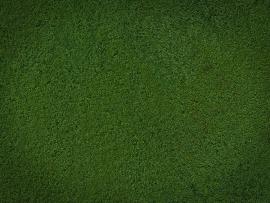 Cartoon Grass Image Search Results image Backgrounds