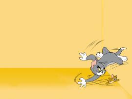 Cartoon Pictures Tom and Jerry Cartoon Picture Backgrounds