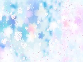 Cherry Blossom Flower Download Backgrounds