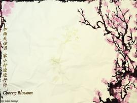 Cherry Blossom Presentation Backgrounds