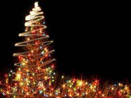 Christmas Tree  336077 Backgrounds