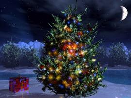 Christmas Tree Christmas Tree Template Backgrounds