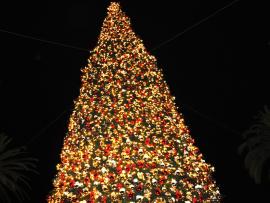 Christmas Tree Hd Christmas Tree   Presentation Backgrounds