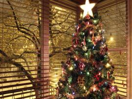Christmas Tree Image Picture Backgrounds