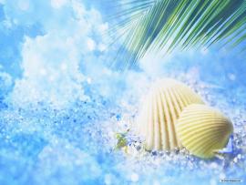 Cool Summer For Desktop Clip Art Backgrounds