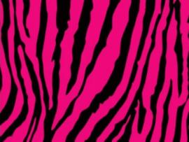 Cool Zebra Print Hot Pink Zebra Print Presentation Backgrounds