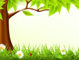 Cute Forest Spring Frame Backgrounds
