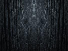 Dark Wood Bright Wallpaper Backgrounds