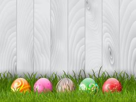 Decorative Easter Eggs Grass Backgrounds