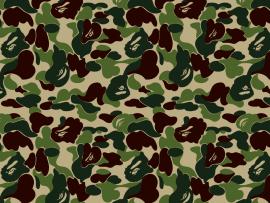 Descriptions Camo Is A Hi Res For Pc Desktops   Wallpaper Backgrounds