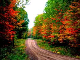 Desktops Autumn Road Desktops Clipart Backgrounds