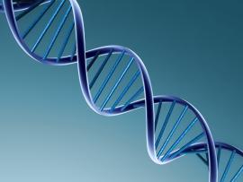 DNA 3d Border Backgrounds